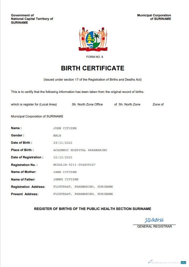 Download Suriname vital record birth certificate Word and PDF template Photoshop template